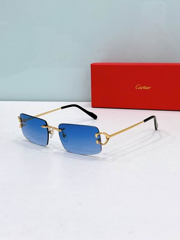 Cartier Glasses smr129